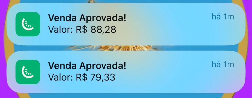 WhatsApp Image 2025-07-11 at 13.54.17